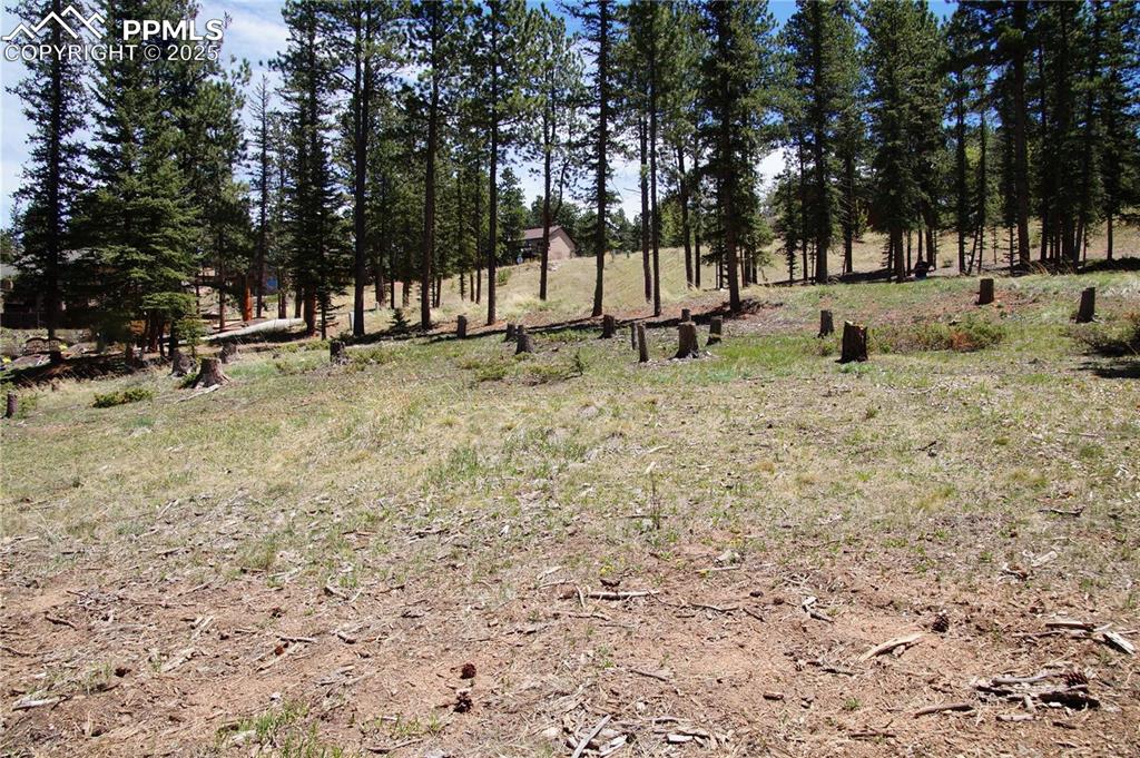 Image 13 of 27: View of landscape