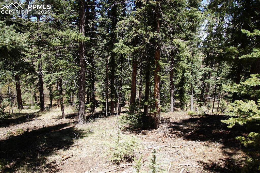 Image 14 of 27: View of nature