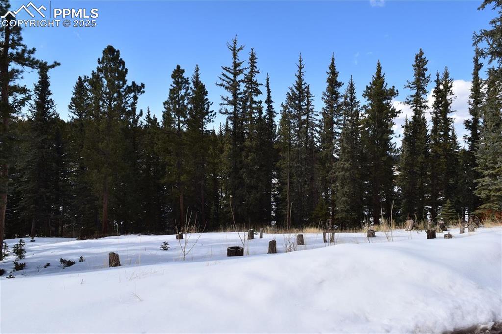 Image 17 of 27: Other