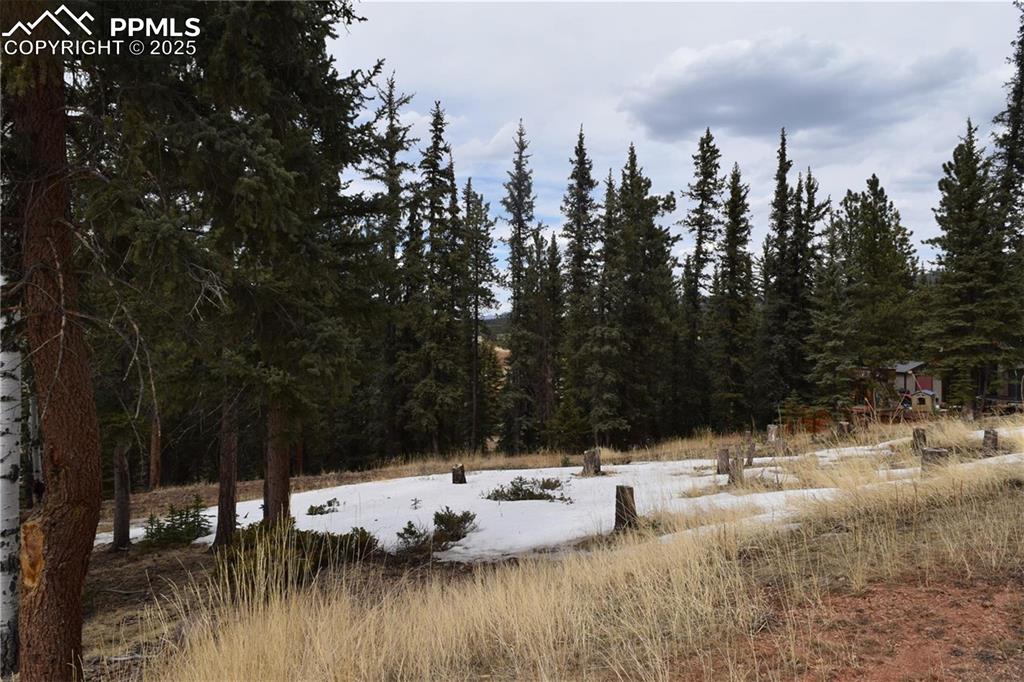 Image 18 of 27: View of yard