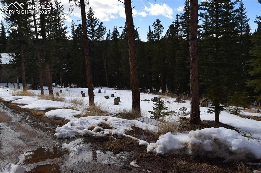 Image 19 of 27: View of snowy landscape