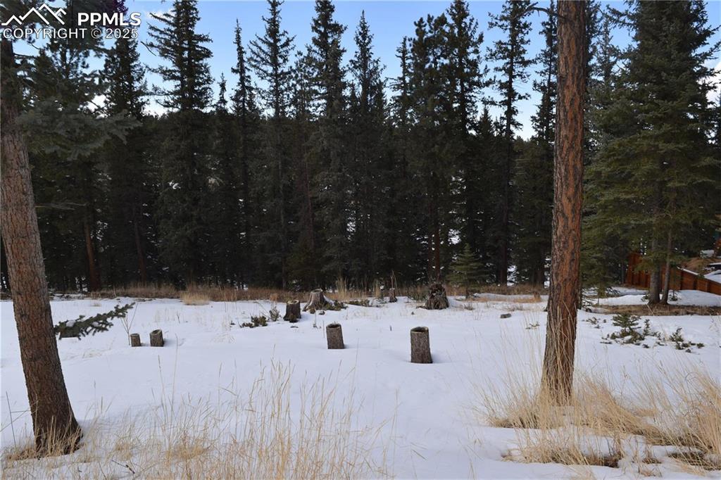 Image 20 of 27: View of yard covered in snow