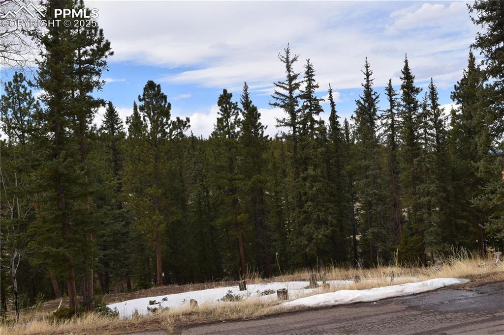 Image 23 of 27: View of local wilderness