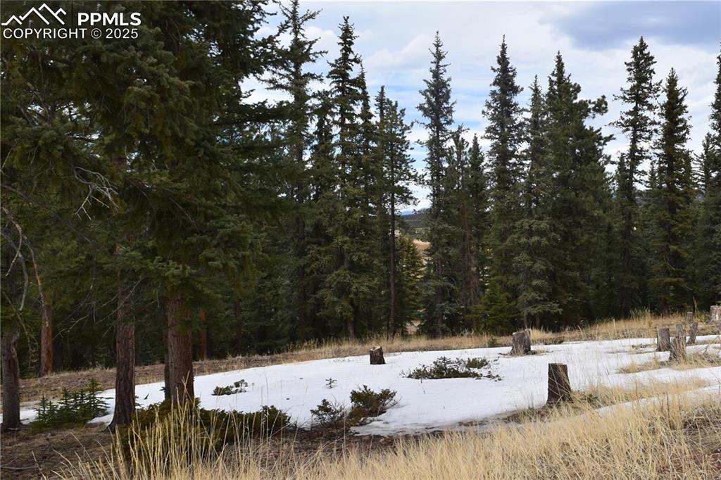 Image 25 of 27: View of snowy view