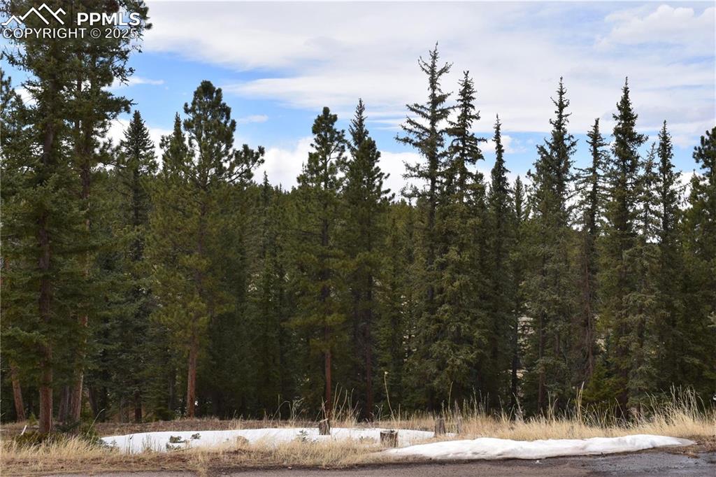 Image 27 of 27: View of landscape