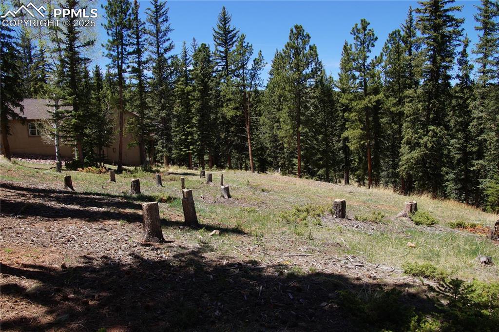 Image 6 of 27: View of nature