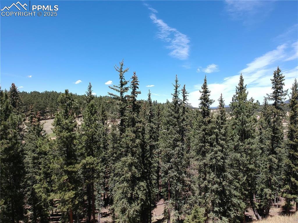 Image 8 of 27: View of nature