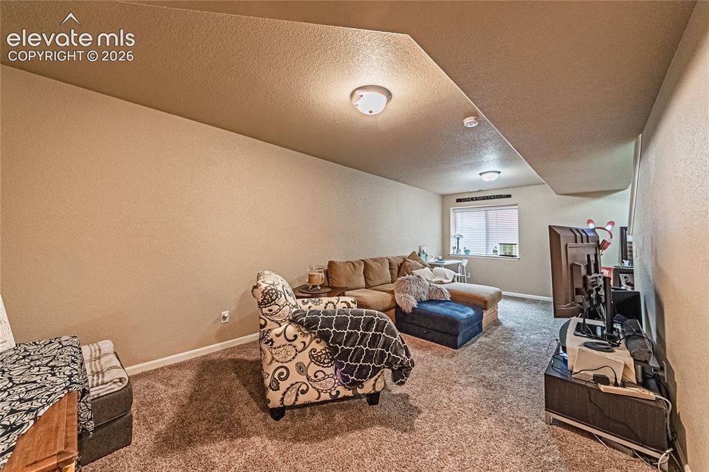 Image 24 of 36: Carpeted living room with a textured wall and a textured ceiling