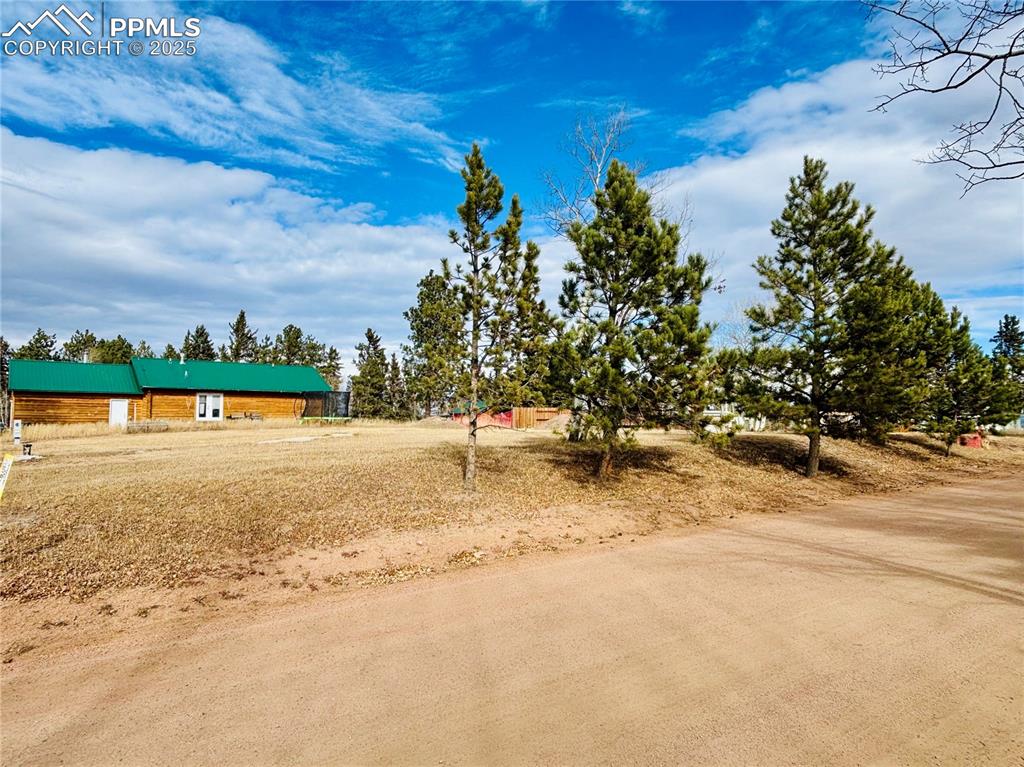 Image 11 of 13: View of yard