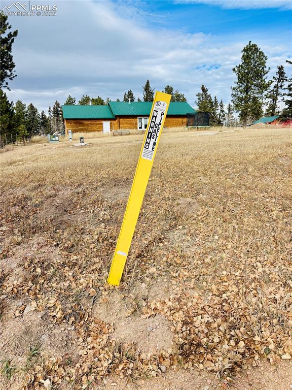 Image 13 of 13: Other