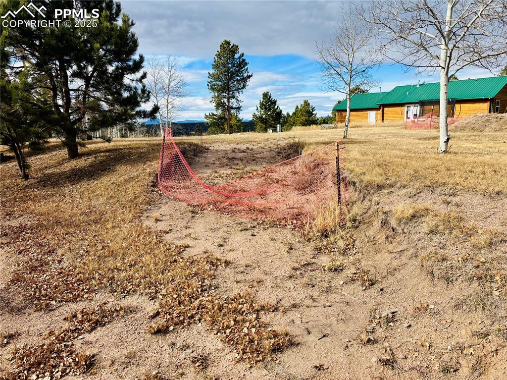 Image 2 of 13: View of yard