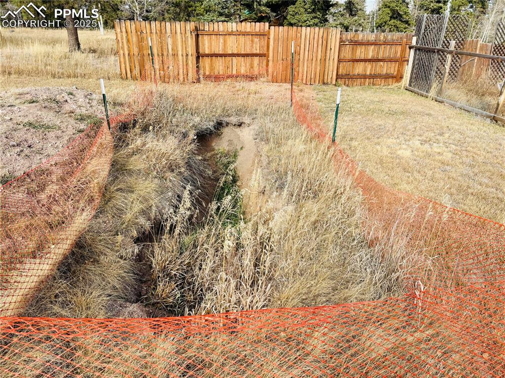 Image 3 of 13: View of yard