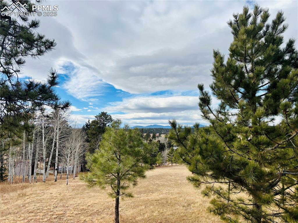Image 5 of 13: View of undeveloped land