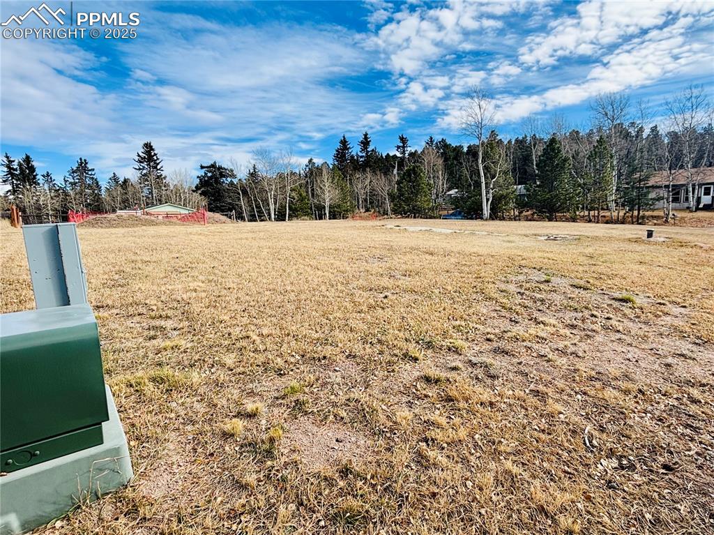 Image 6 of 13: View of yard