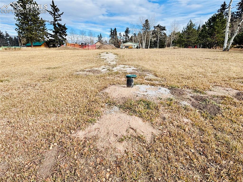 Image 8 of 13: View of yard