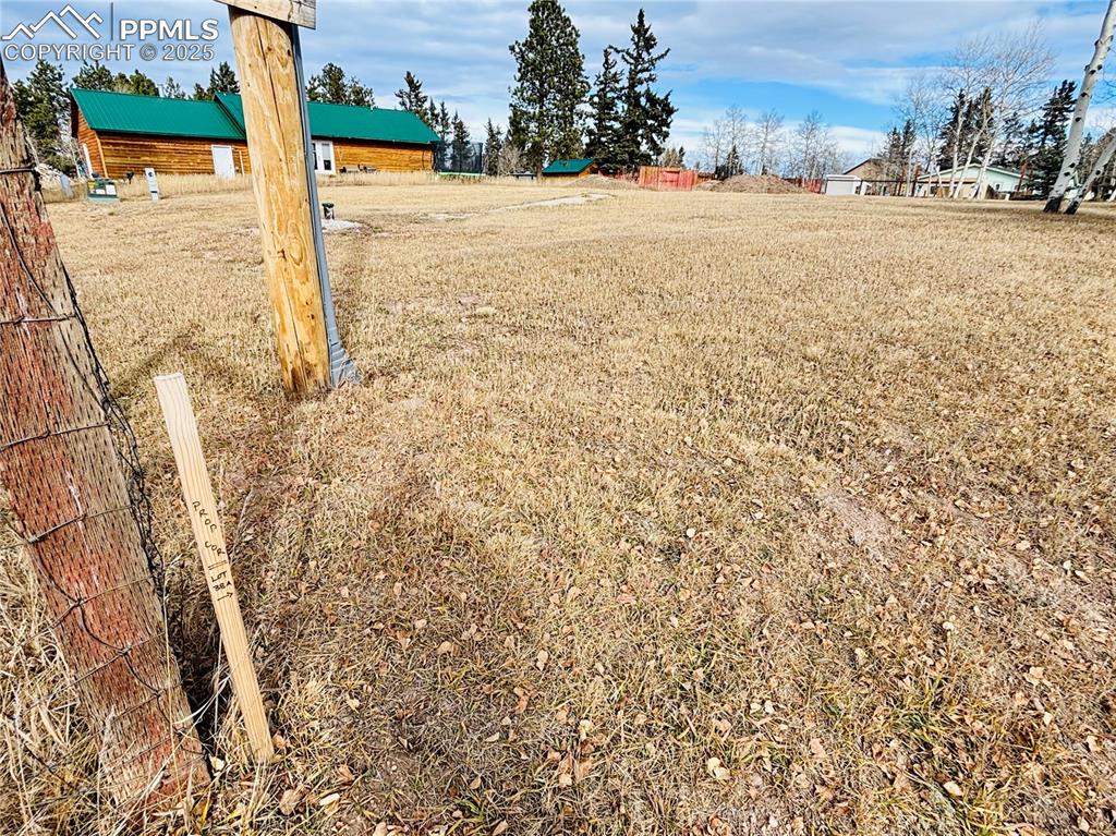 Image 9 of 13: View of yard