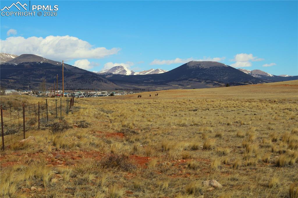 Image 10 of 12: View