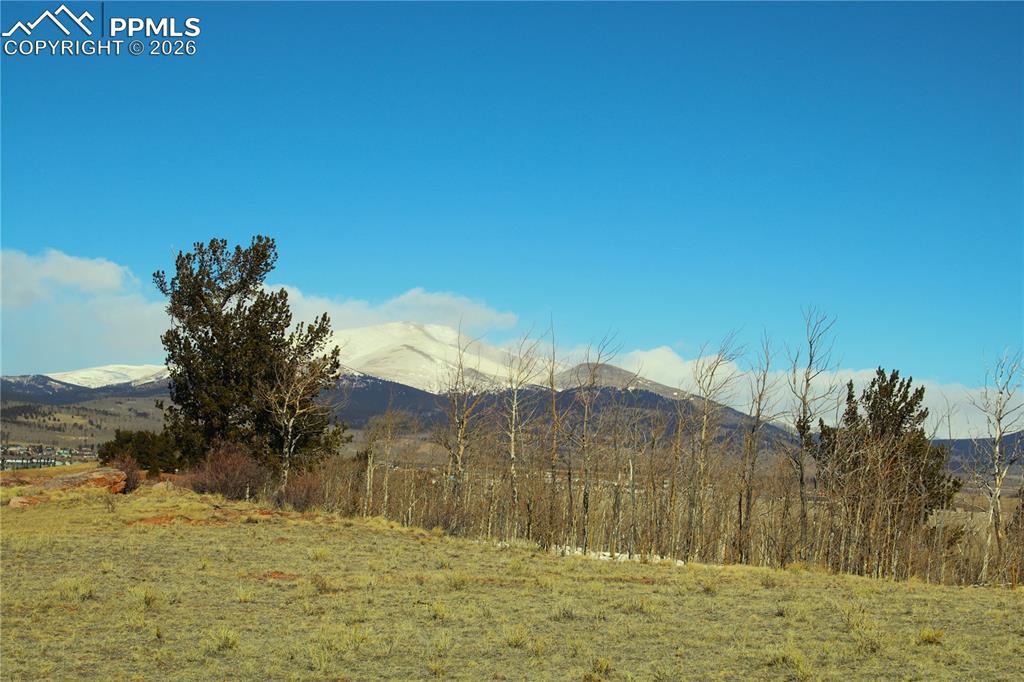 Image 11 of 12: View