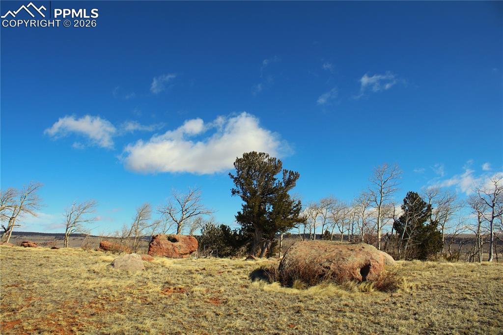 Image 12 of 12: Yard