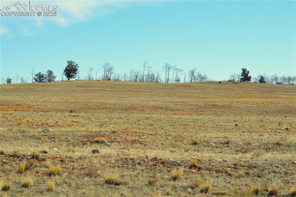 Image 8 of 12: Other