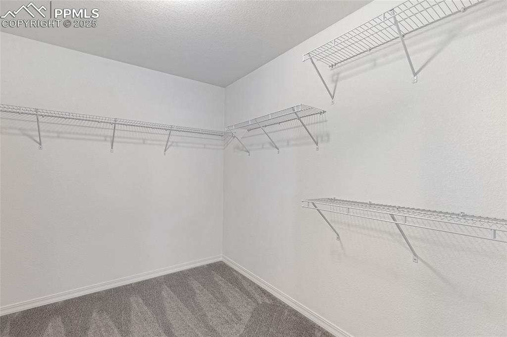 Image 36 of 50: Walk in closet featuring carpet