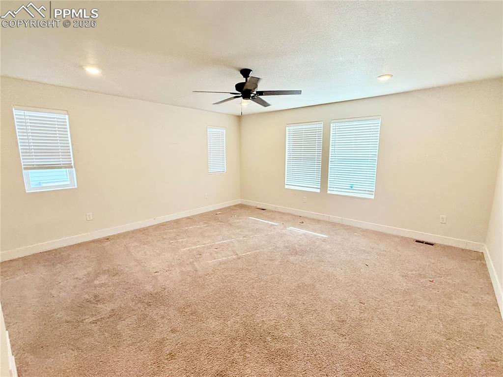 Image 8 of 24: Other