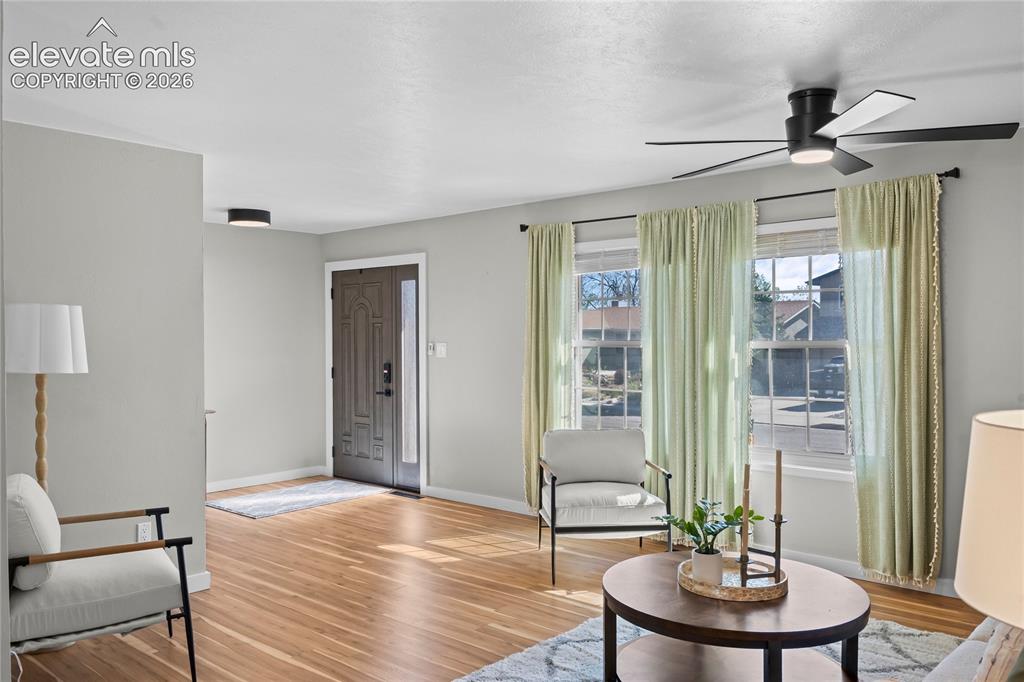 Image 11 of 50: Expansive open-concept living area bathed in natural light, featuring conte