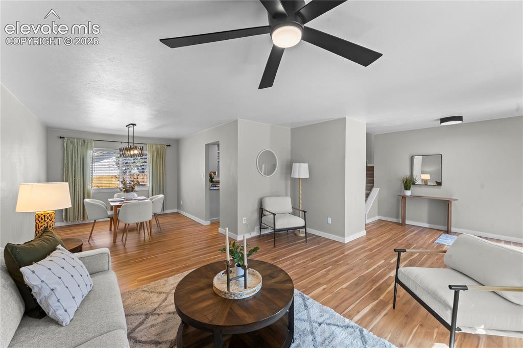 Image 16 of 50: Expansive open-concept living area bathed in natural light, featuring conte