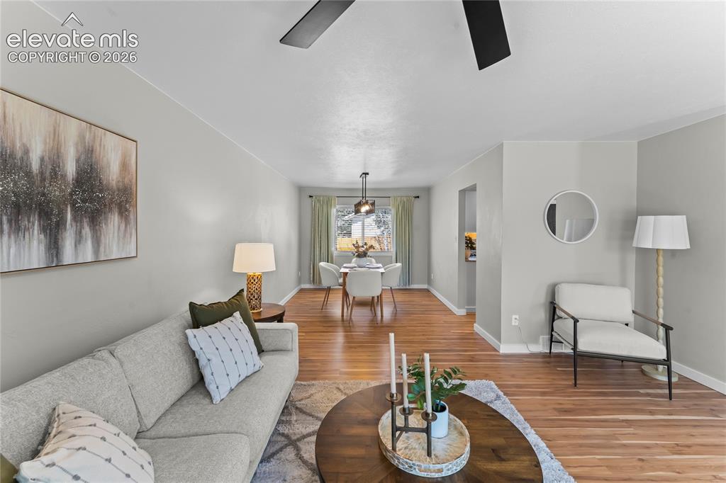 Image 9 of 50: Expansive open-concept living area bathed in natural light, featuring conte