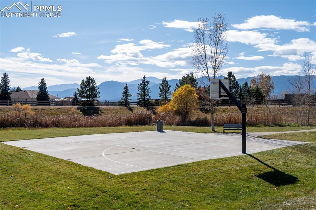 Image 42 of 45: Nearby park