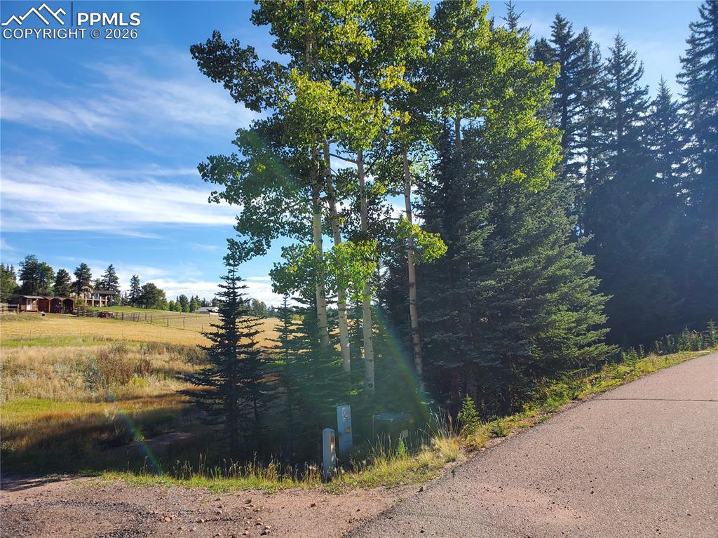 Image 14 of 21: Other