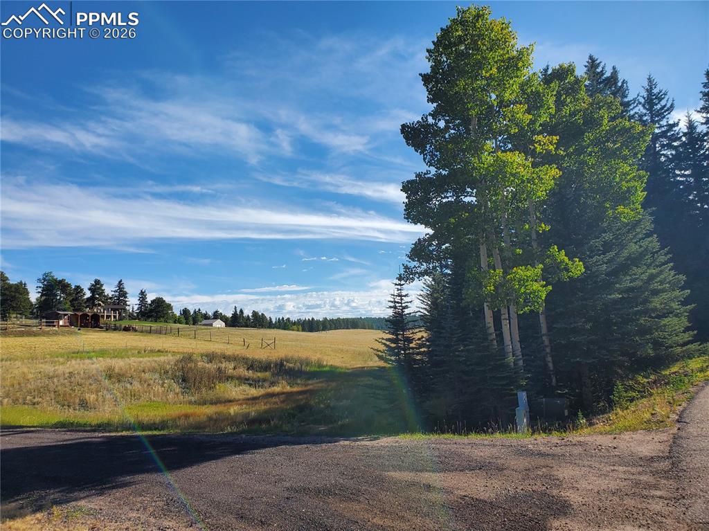 Image 15 of 21: Community