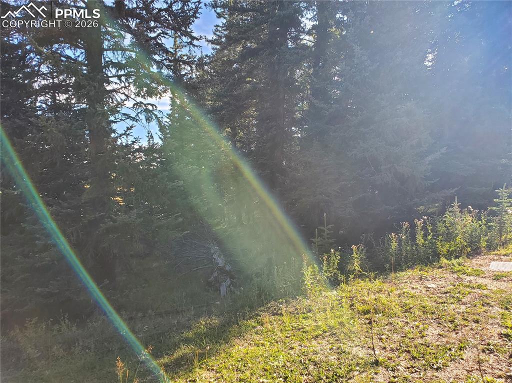 Image 16 of 21: Other