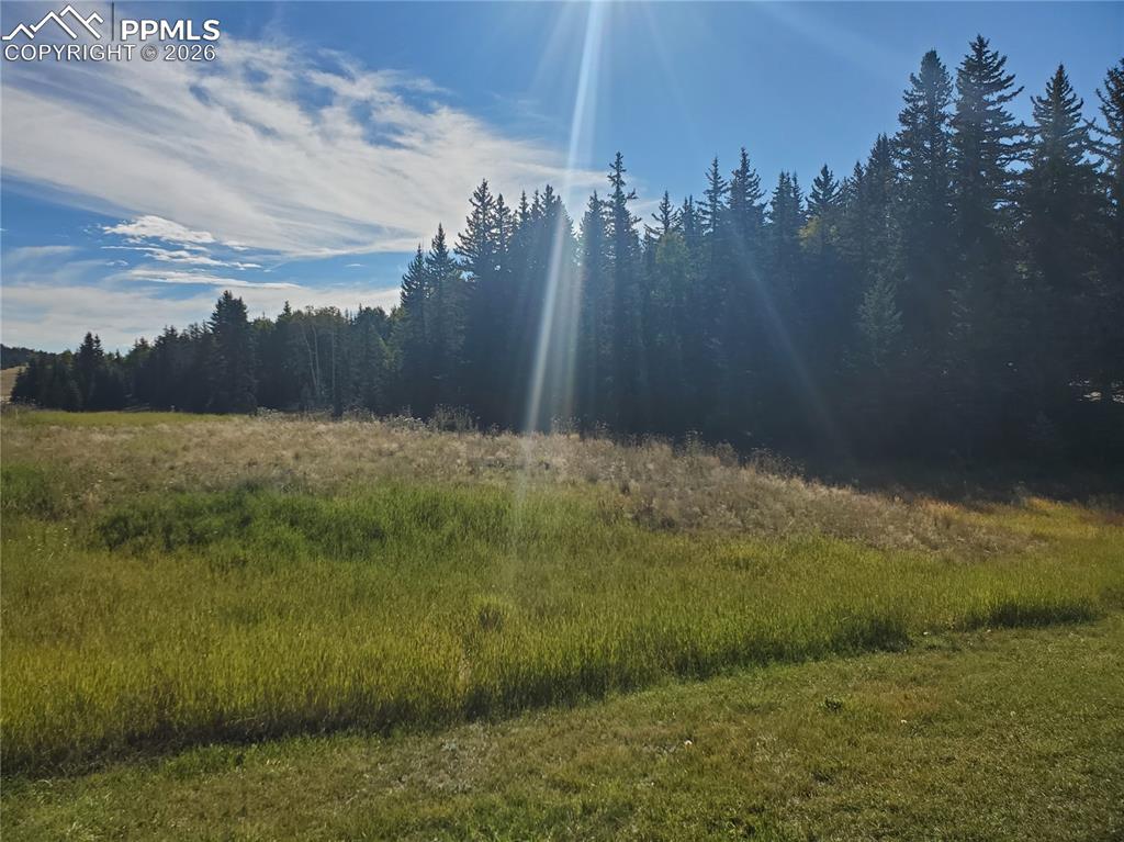 Image 5 of 21: Other