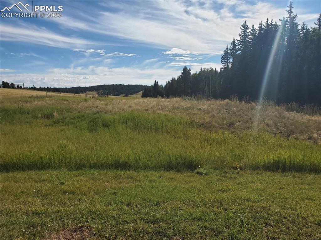 Image 6 of 21: Other