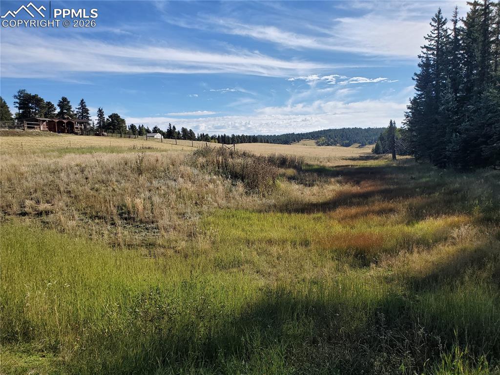 Image 9 of 21: Other