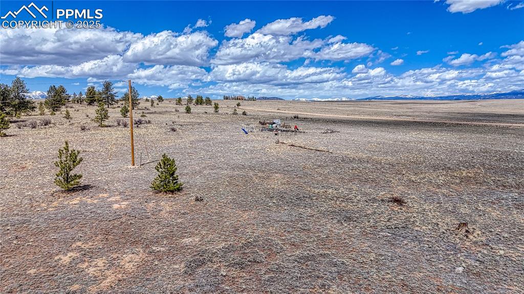 Image 12 of 24: Yard