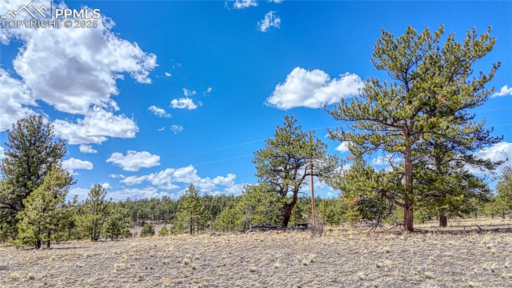 Image 13 of 24: Other