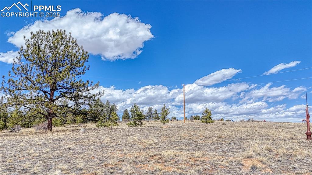 Image 14 of 24: Other