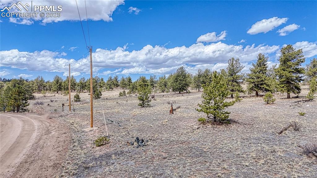 Image 16 of 24: Other