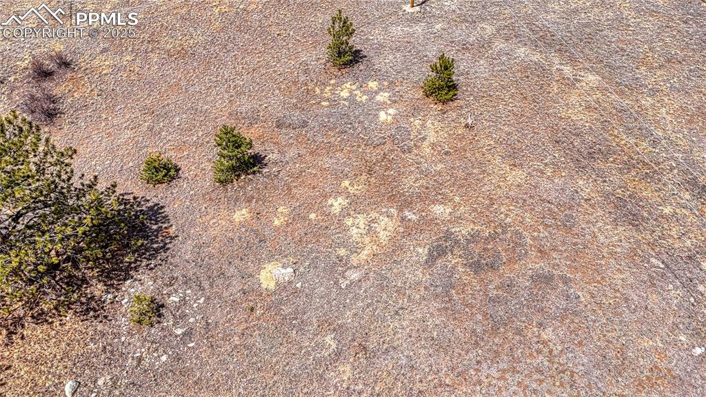 Image 17 of 24: Other