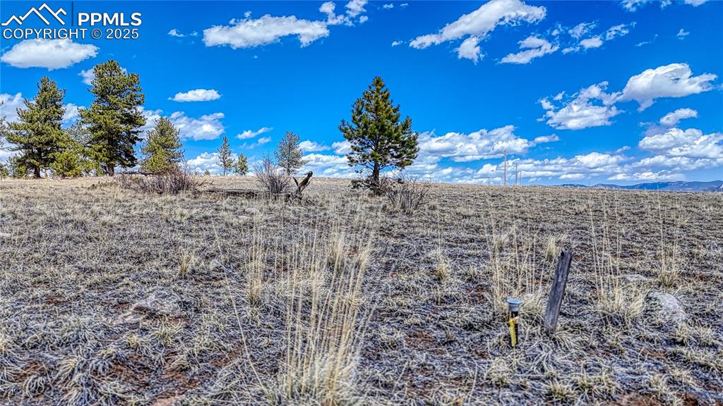 Image 18 of 24: Other