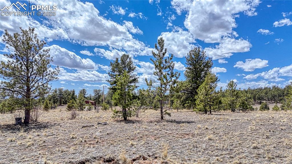 Image 6 of 24: Other