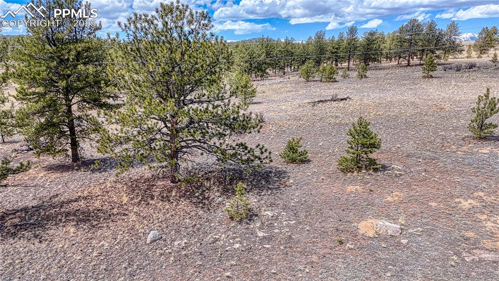 Image 9 of 24: Other