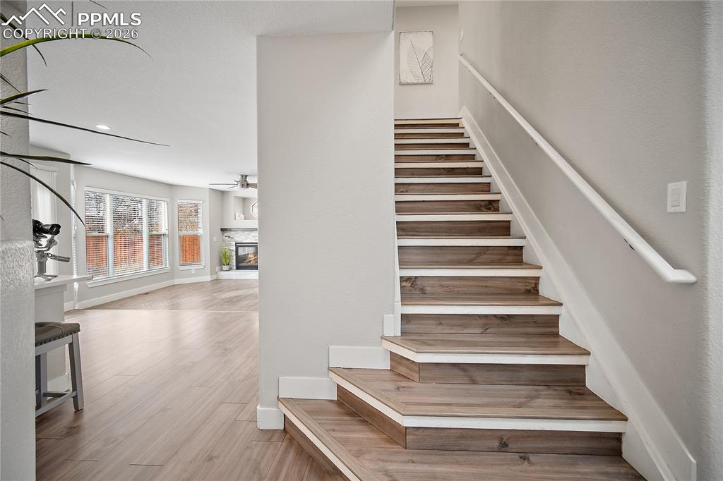 Image 20 of 46: No Description Available