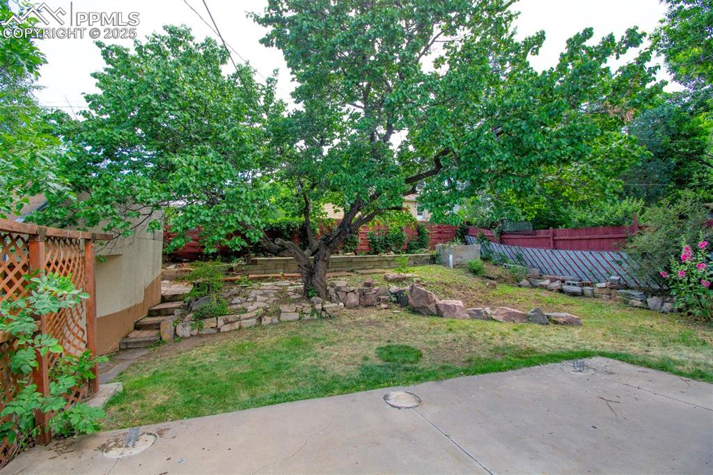 Image 21 of 21: Yard