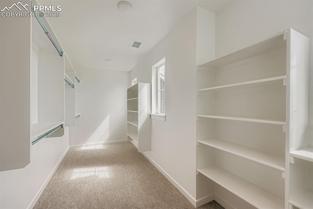 Image 20 of 28: Walk in closet with carpet