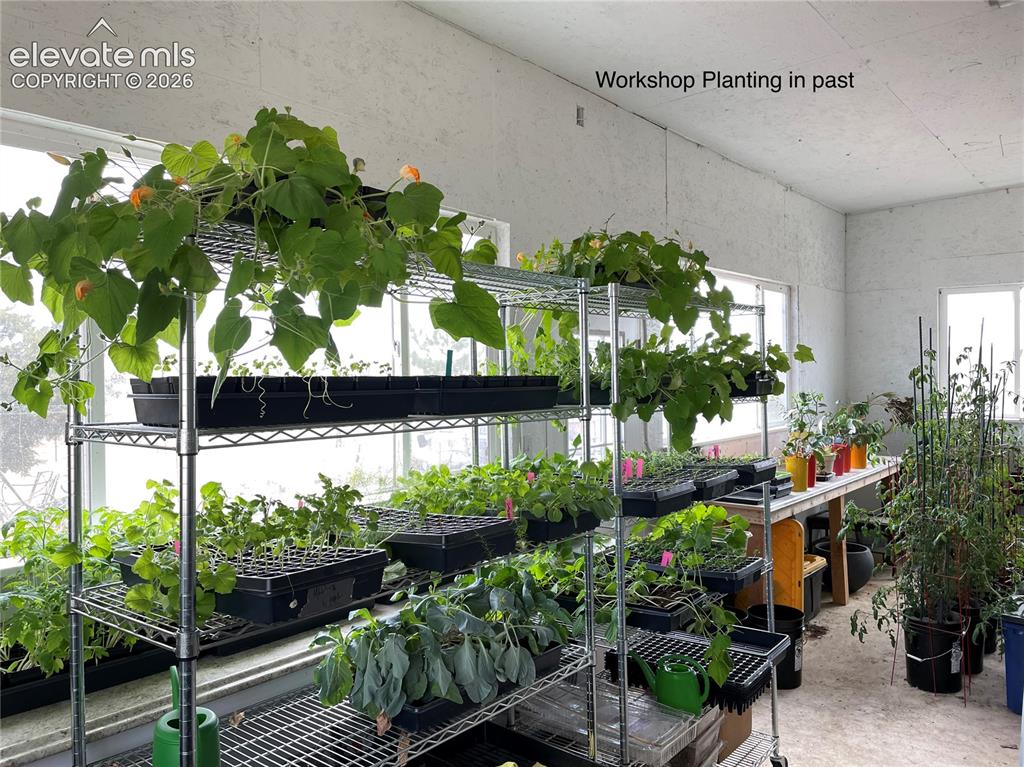 Image 39 of 42: Growing room/workshop