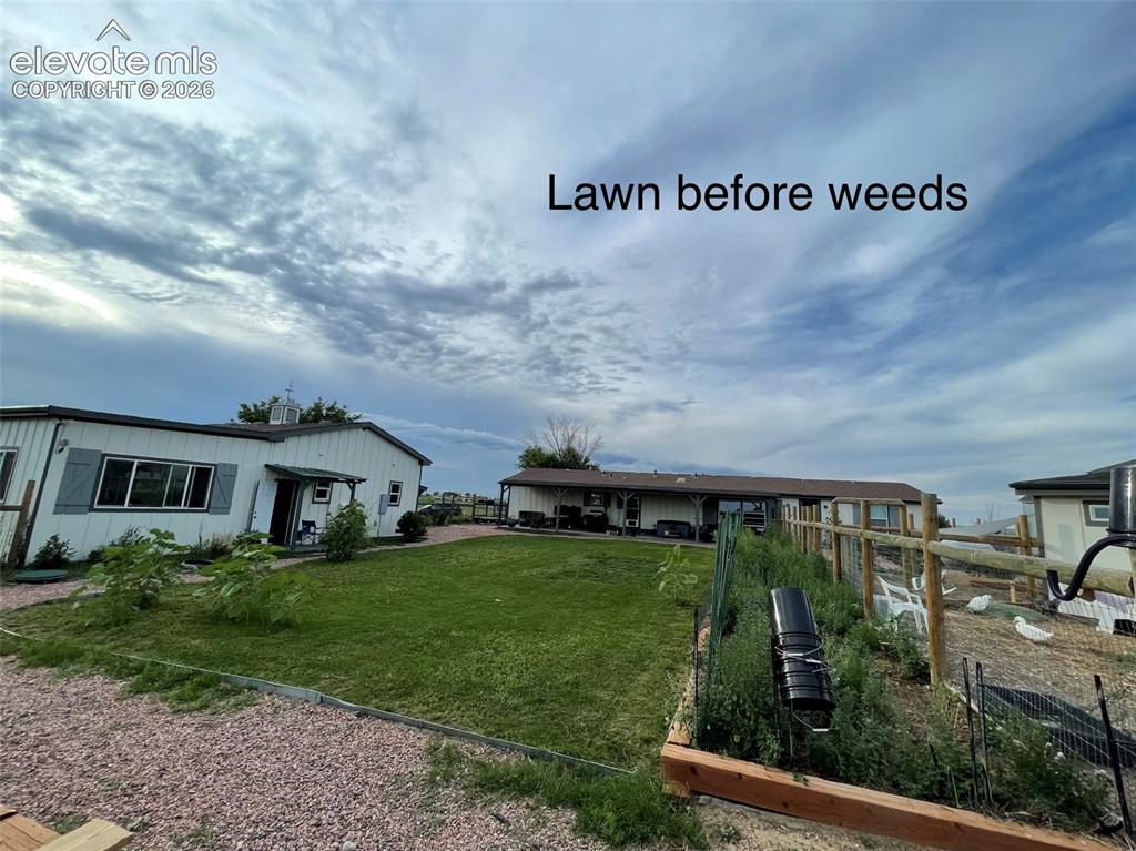 Image 40 of 42: Back lawn