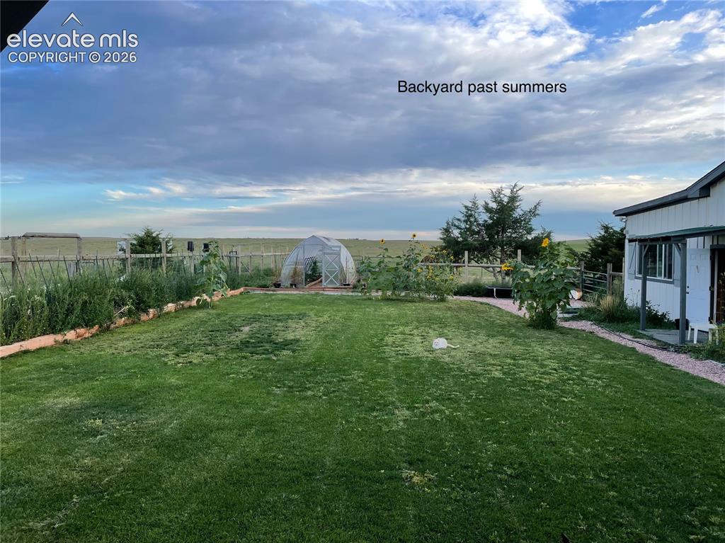 Image 42 of 42: Backyard